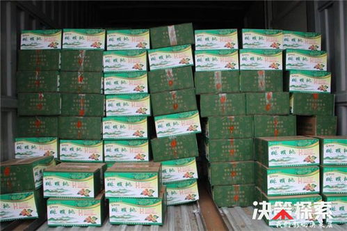 警民攜手 共克時(shí)艱 愛心企業(yè)為新野公安民警 輔警捐贈防護(hù)用品和生活物資